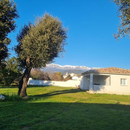 דירות Prunelli-di-Fiumorbo Location "Casa Monna" מראה חיצוני תמונה